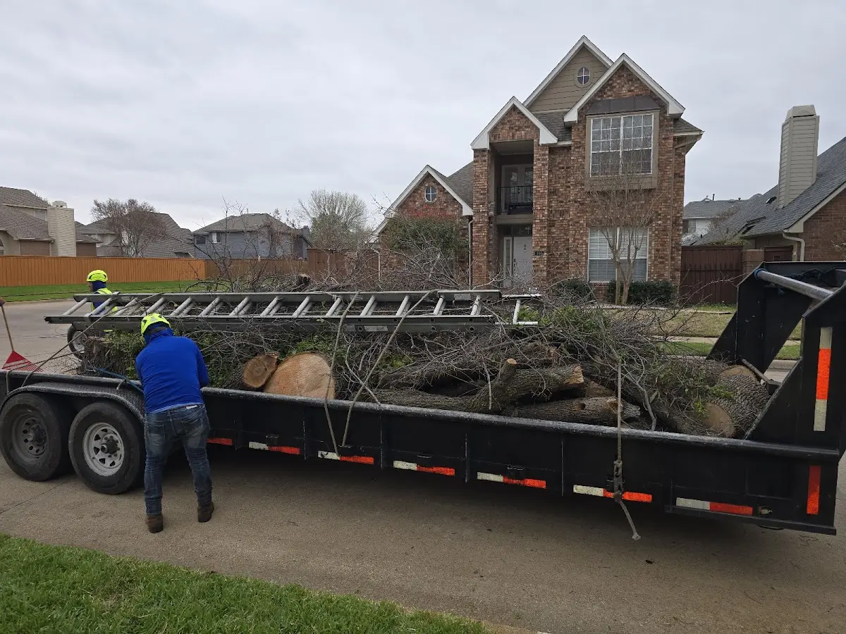 Expert Tree Pest Control with proper safety equipment in Kabetogama